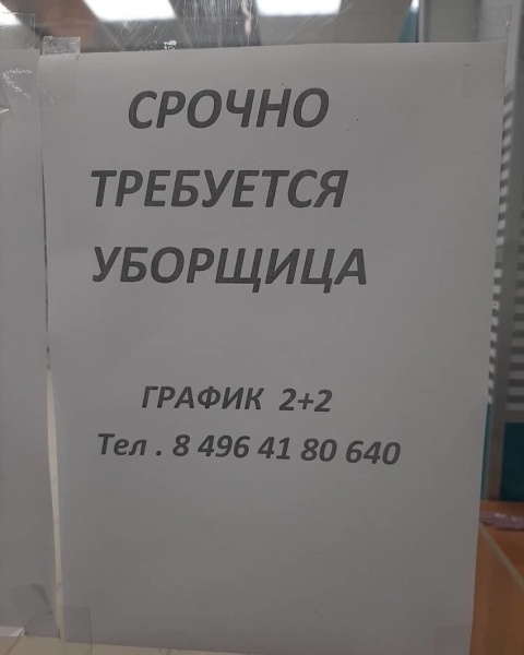 16 объявлений, которые заставляют усомниться в адекватности