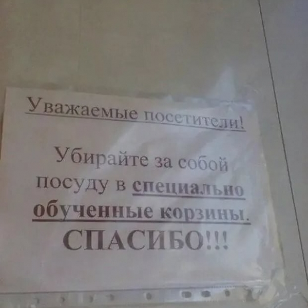 16 объявлений, которые заставляют усомниться в адекватности