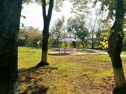 Новые пешеходные дорожки оборудовали в районе Крюково