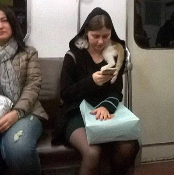 20 чудаковатых пассажиров, которых можно увидеть в метро