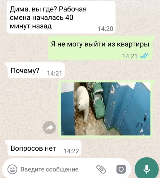 12 примеров улетных SMS-сообщений, которые смело можно разбивать на цитаты