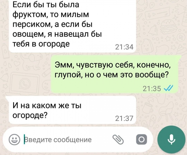12 смехотворных СМС-посланий, в которых зашкаливает уровень юмора