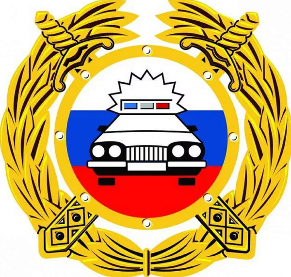 Сотрудники ГИБДД Зеленограда привлекли к ответственности водителя за нарушение ПДД