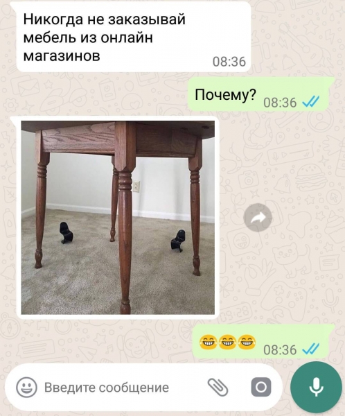 12 занимательных смс-переписок, которые не только поднимут настроение, но и отчасти будут познавательными