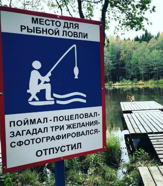 14 отпадных объявлений, которые запомнятся каждому, кто их прочитал