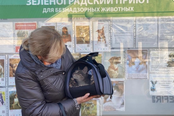 Три воспитанника приюта «Зеленоград» обрели новый дом