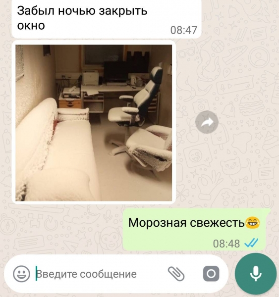 12 занимательных смс-переписок, которые не только поднимут настроение, но и отчасти будут познавательными