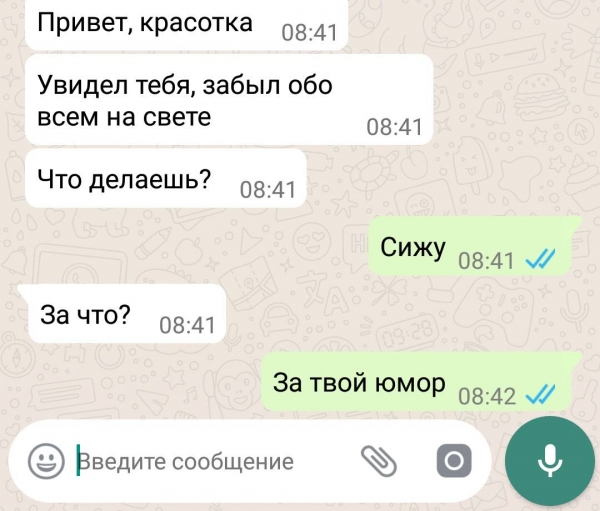 12 занимательных смс-переписок, которые не только поднимут настроение, но и отчасти будут познавательными