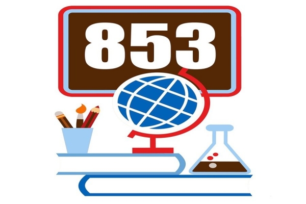 Спортсменки школы №853 заняли второе место в онлайн-турнире по физической подготовке