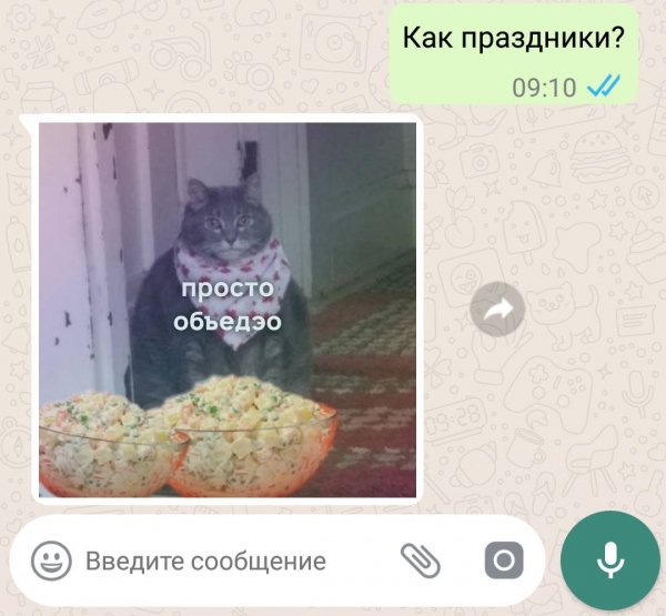 12 смешных смс-переписок, которые начинались с банальных фраз, а закончились шутками-прибаутками