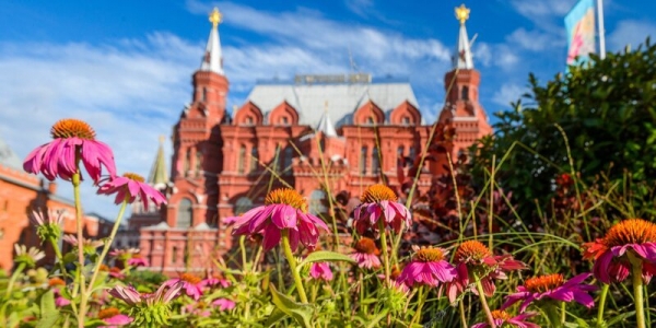 Фестиваль «Цветочный джем» получил главную награду премии в области ландшафтной архитектуры