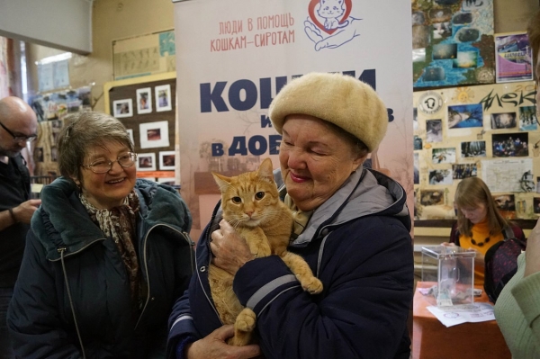 В Зеленограде пройдет выставка бездомных кошек