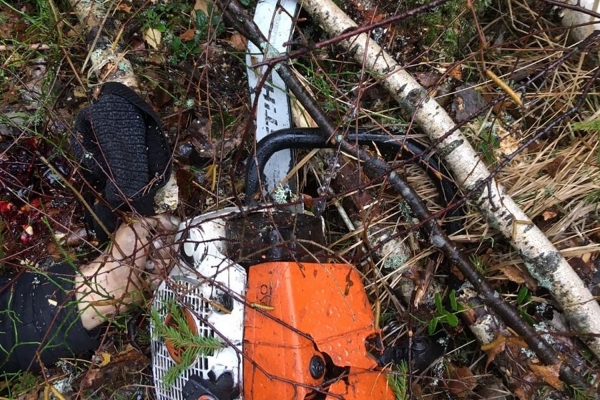 В Зеленограде лесоруб избежал наказания за гибель коллеги