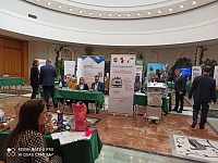 Стандарты современного развития