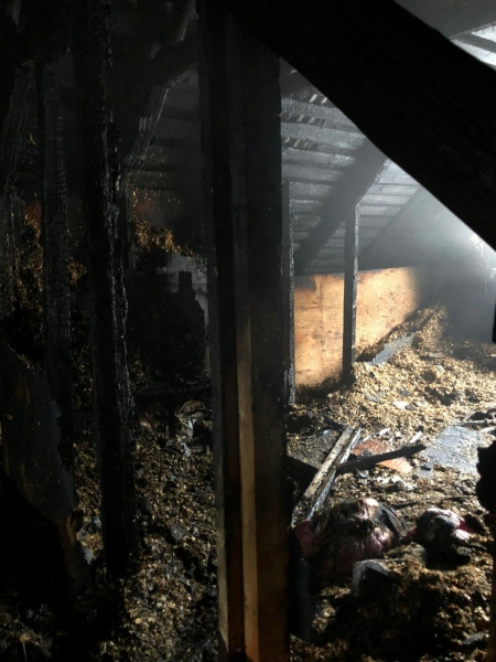 Под Зеленоградом сгорел жилой дом