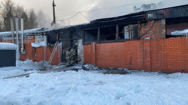 Названа причина крупного пожара