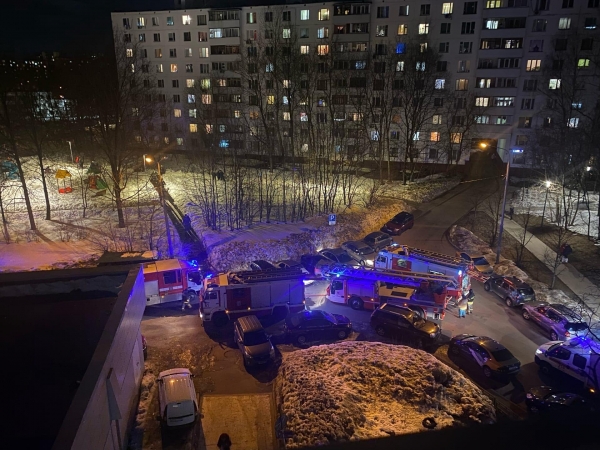 В старой части Зеленограда потушили загоревшуюся квартиру