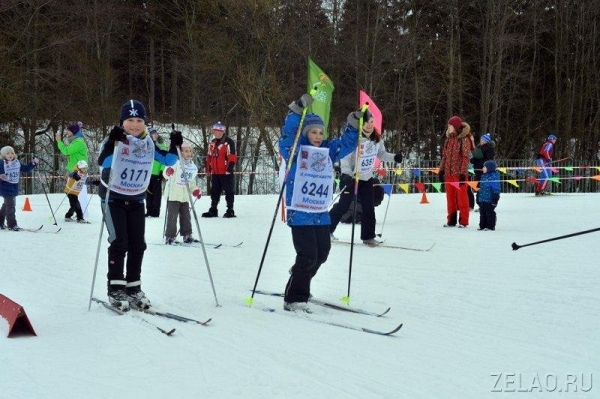 Лыжная гонка в рамках Всероссийской массовой акции «Лыжня России – 2022» пройдет в Зеленограде