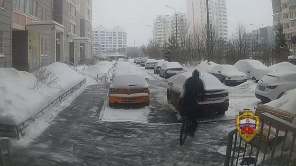 Зеленоградец украл у соседей велосипед