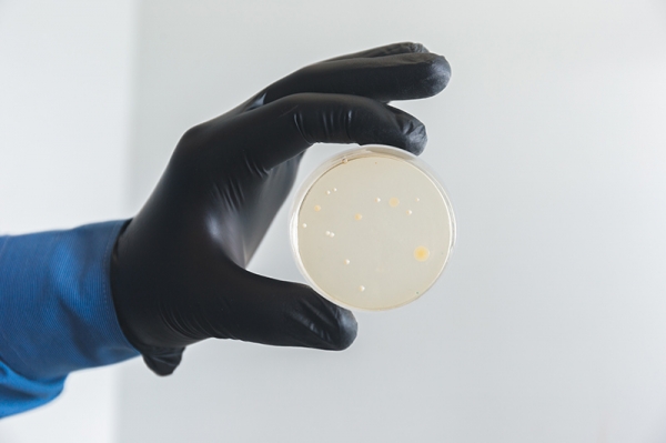 В Институте перспективных материалов и технологий создали самоочищающийся пластик