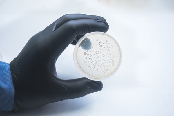 В Институте перспективных материалов и технологий создали самоочищающийся пластик