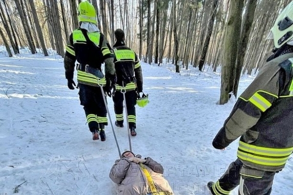В зеленоградском лесу спасли пенсионерку