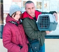 Три кошечки из приюта «Зеленоград» встретили свои семьи