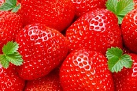 В Зеленограде появятся места торговли клубникой и земляникой