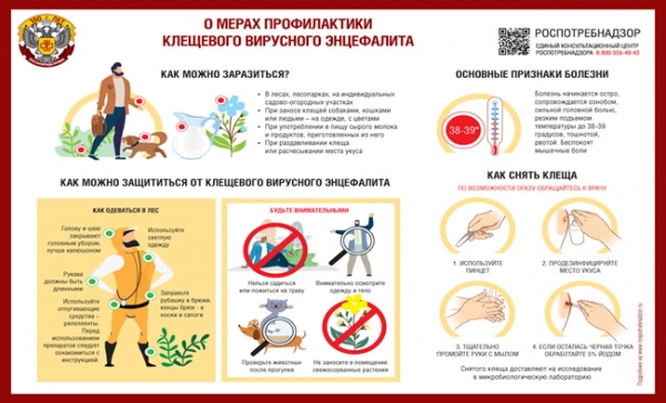 Зеленоградский отдел Роспотребнадзора напоминает о мерах профилактики клещевого вирусного энцефалита