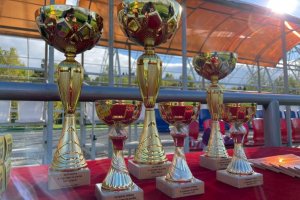 Сотрудники ГБУ «Заря» провели турнир по регби