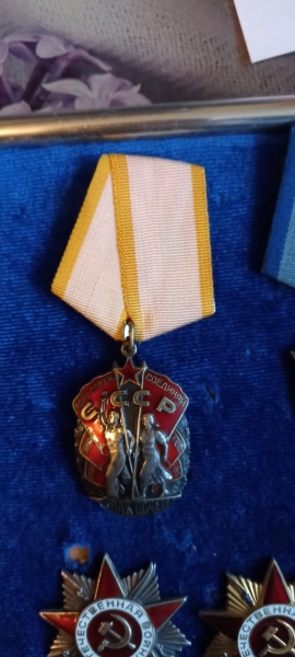 Сотрудники полиции Зеленограда задержали подозреваемого в незаконном сбыте и приобретении государственных наград