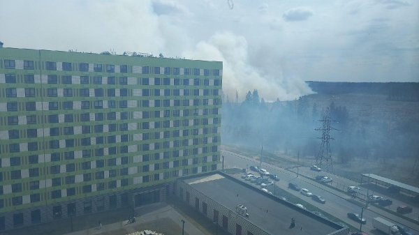 На границе Зеленограда произошел природный пожар
