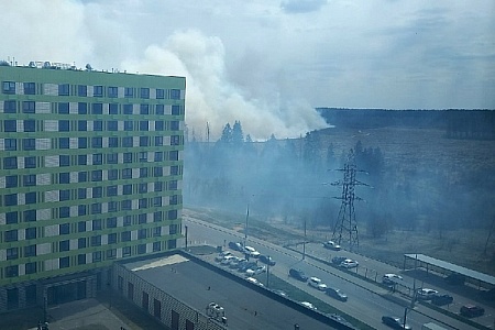 На границе Зеленограда произошел природный пожар