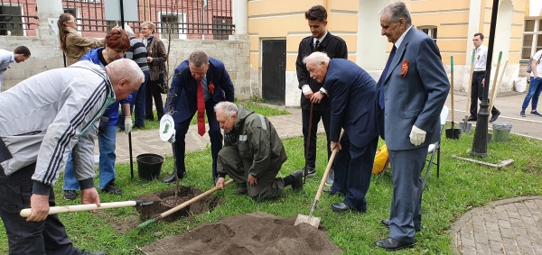 На «Аллее победителей» в Крюково высадили деревья