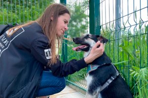 Питомцев из приюта «Зеленоград» навестили молодежные активисты