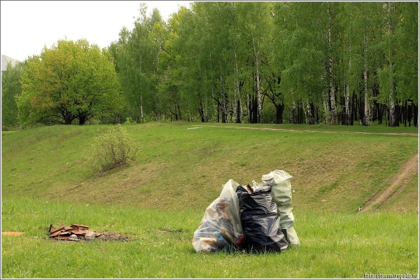В районе Матушкино состоялся субботник