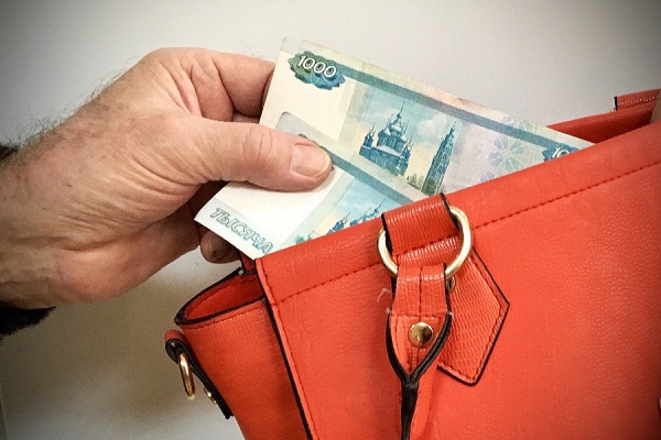 Сотрудниками полиции в Зеленограде задержан подозреваемый в совершении кражи