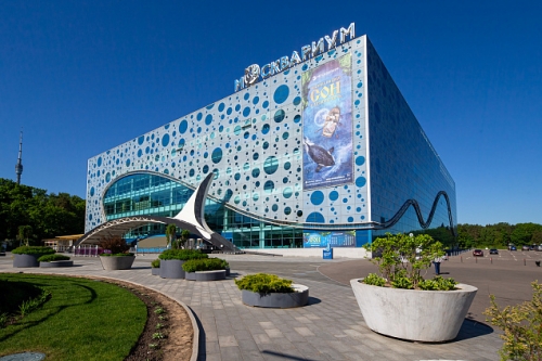 Экологический фестиваль «Горизонт» в «Москвариуме» на ВДНХ Экологический фестиваль «Горизонт» в «Москвариуме» на ВДНХ