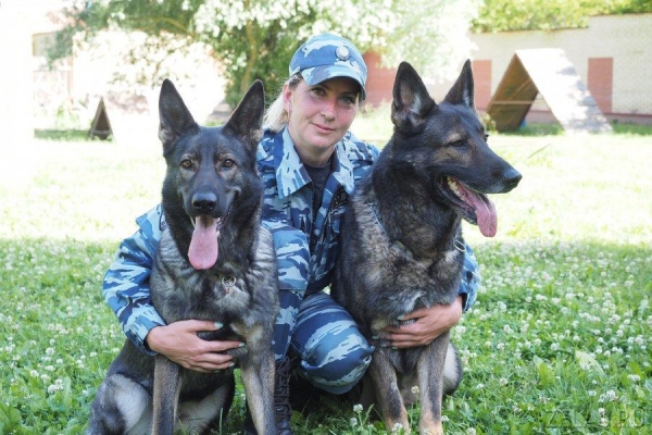 Старший инспектор Центра кинологической службы УВД ЗелАО Людмила Булатова и ее напарник Шон победили на чемпионате в Беларуси