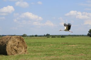 Выставочный зал Музея Зеленограда представляет выставку "Объект в объективе"