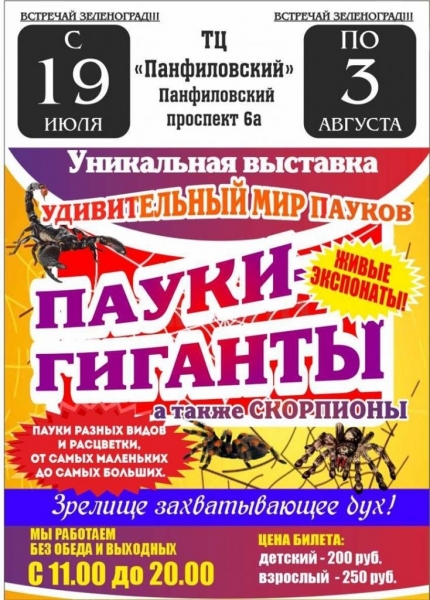 В ТЦ «Панфиловский» откроется выставка гигантских пауков