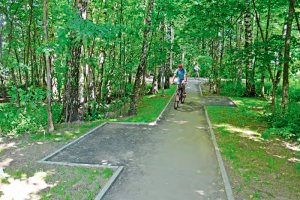 В Зеленограде продолжаются плановые летние работы
