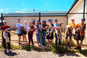 Ряды волонтеров Семейного центра «Зеленоград» пополнились