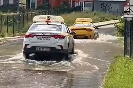 В деревне под Зеленоградом прорвало канализацию
