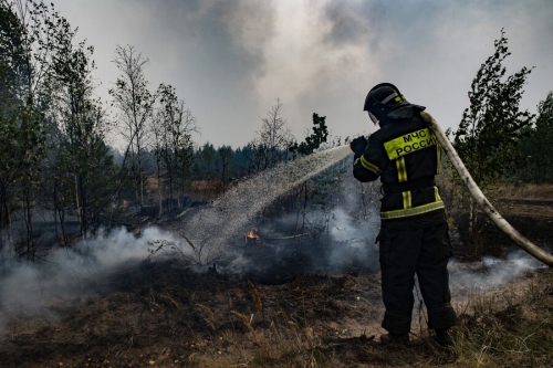 Площадь пожара в лесничестве в Каменском районе Ростовской области выросла до 50 га 