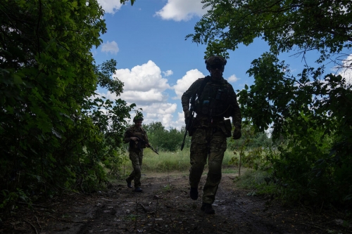 В Минобороны Украины заявили о «совместных операциях» с Польшей 