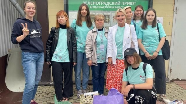 Зеленоградцы принесли кошкам корм, пеленки и игрушки