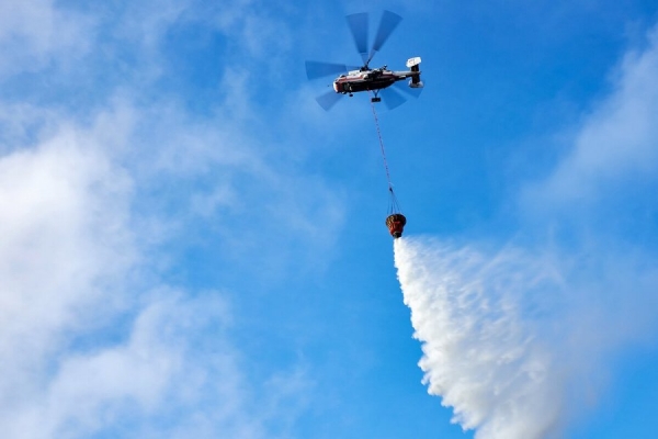 Собянин: Москва направила в Рязанскую область спасателей и технику для борьбы с лесными пожарами