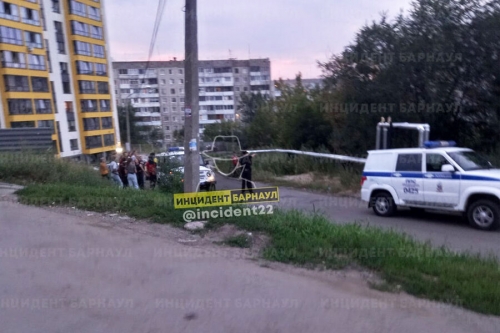Двухлетнюю девочку ранили ножом в маршрутке в Барнауле 