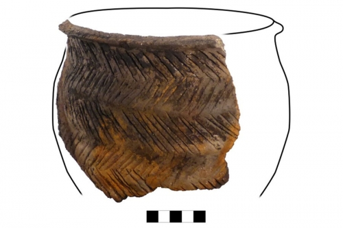 В Шотландии нашли горшок каменного века со следами молочной каши В Шотландии нашли горшок каменного века со следами молочной каши